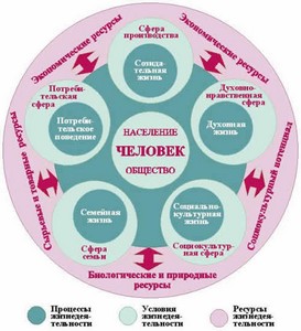 волосы электризуются