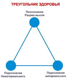  пуховики x clusive
