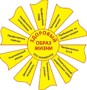 советы диетолога маргариты королевой