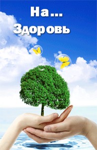  кроссовки 49 размера